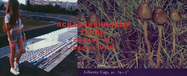 гашик Михайловск