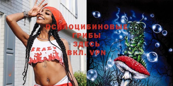 гашик Михайловск